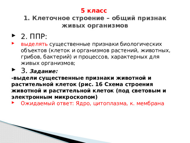 5 класс  1. Клеточное строение – общий признак живых организмов 2. ППР: выделять существенные признаки биологических объектов (клеток и организмов растений, животных, грибов, бактерий) и процессов, характерных для живых организмов;  3 . Задание:  -выдели существенные признаки животной и растительной клеток (рис. 16 Схема строения животной и растительной клеток (под световым и электронным микроскопом) Ожидаемый ответ: Ядро, цитоплазма, к. мембрана 
