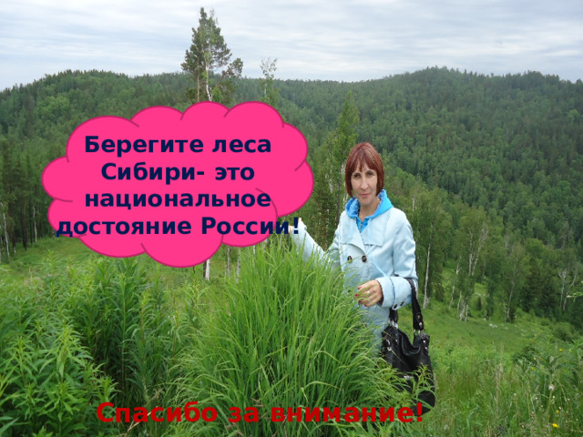 Берегите леса Сибири- это национальное достояние России! Спасибо за внимание! 