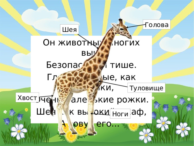 Урок "Кто такие звери?