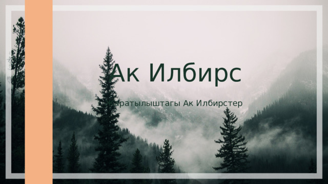 Ак Илбирс Жаратылыштагы Ак Илбирстер Автор: Шаршембиев Курманбек ТОСВТ9-2-21  