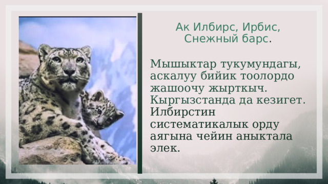 Ак Илбирс, Ирбис, Снежный барс . Мышыктар тукумундагы, аскалуу бийик тоолордо жашоочу жырткыч. Кыргызстанда да кезигет .  Илбирстин систематикалык орду аягына чейин аныктала элек. 