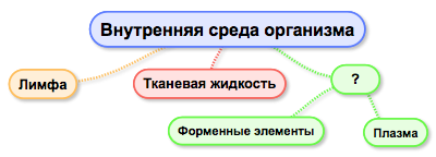 Какой процесс происходящий у животных отображен на схеме ответ обоснуйте