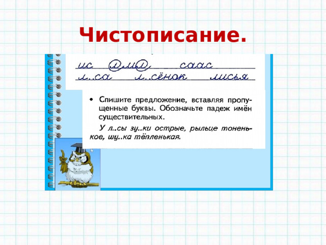 Правописание окончаний прилагательных 3 класс диктант