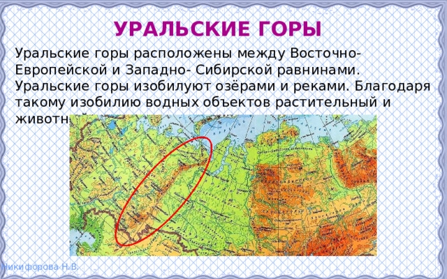 Уральские горы Уральские горы расположены между Восточно-Европейской и Западно- Сибирской равнинами. Уральские горы изобилуют озёрами и реками. Благодаря такому изобилию водных объектов растительный и животный мир этих мест весьма развит. 