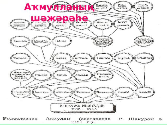 Аҡмулланың шәжәрәһе 