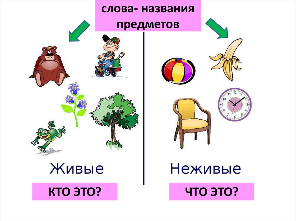 Презентация слова действия предметов 1 класс презентация