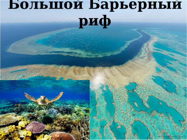 Большой Барьерный риф 