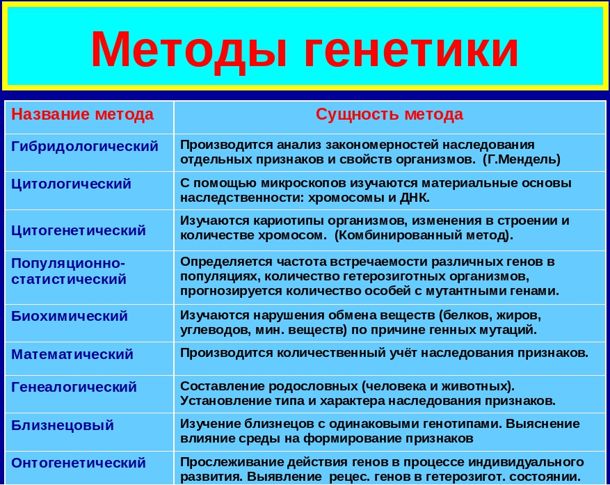 Схема методы изучения генетики человека