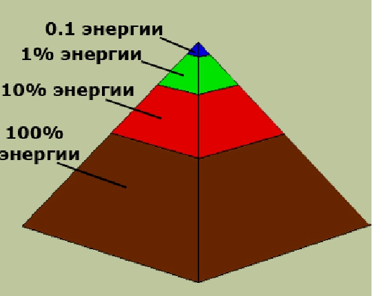 Пирамиды энергии задачи