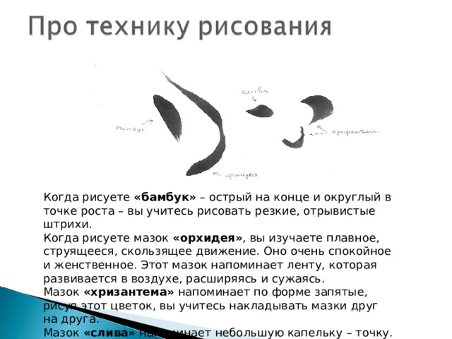 Когда рисуете  «бамбук»  – острый на конце и округлый в точке роста – вы учитесь рисовать резкие, отрывистые штрихи. Когда рисуете мазок  «орхидея» , вы изучаете плавное, струящееся, скользящее движение. Оно очень спокойное и женственное. Этот мазок напоминает ленту, которая развивается в воздухе, расширяясь и сужаясь. Мазок  «хризантема»  напоминает по форме запятые, рисуя этот цветок, вы учитесь накладывать мазки друг на друга. Мазок  «слива»  напоминает небольшую капельку – точку.  