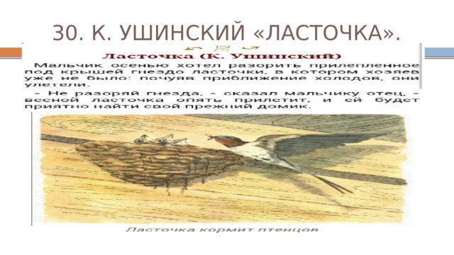30. К. УШИНСКИЙ «ЛАСТОЧКА». 