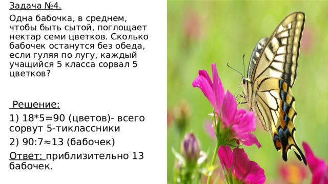 Задача №4. Одна бабочка, в среднем, чтобы быть сытой, поглощает нектар семи цветков. Сколько бабочек останутся без обеда, если гуляя по лугу, каждый учащийся 5 класса сорвал 5 цветков?  Решение: 1) 18*5=90 (цветов)- всего сорвут 5-тиклассники 2) 90:7≈13 (бабочек) Ответ: приблизительно 13 бабочек. 