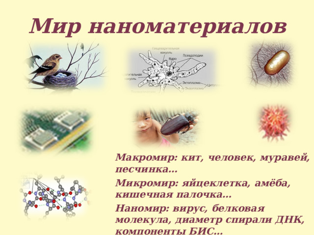 Мир наноматериалов Макромир: кит, человек, муравей, песчинка… Микромир: яйцеклетка, амёба, кишечная палочка… Наномир: вирус, белковая молекула, диаметр спирали ДНК, компоненты БИС…  