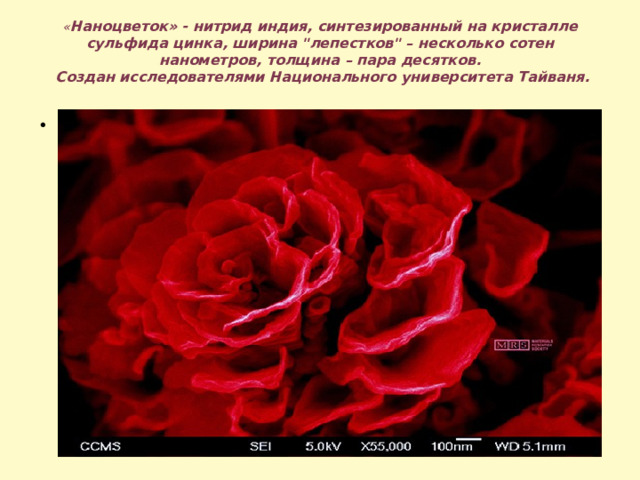 « Наноцветок» - нитрид индия, синтезированный на кристалле сульфида цинка, ширина 