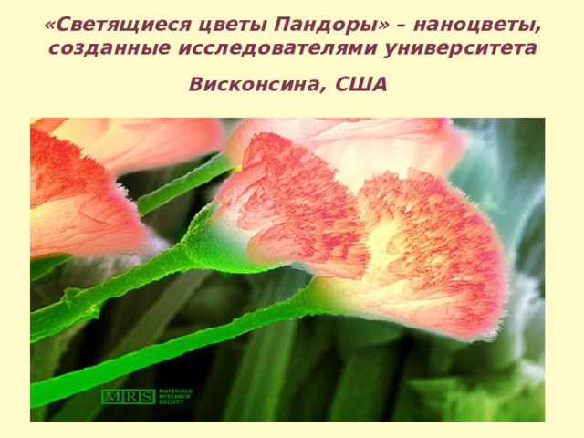 «Светящиеся цветы Пандоры» – наноцветы, созданные исследователями университета Висконсина, США  