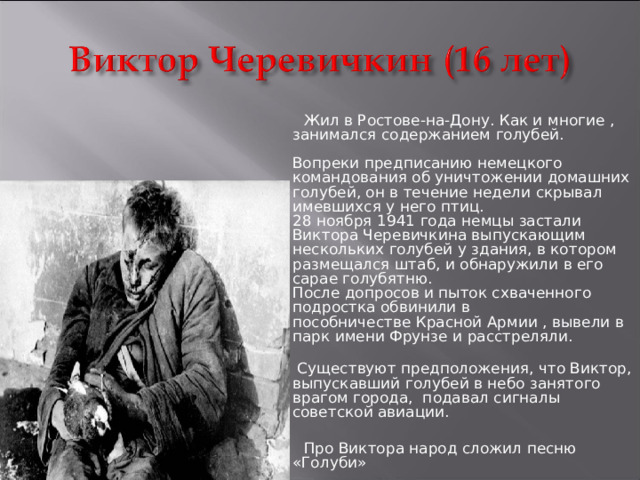  Жил в Ростове-на-Дону. Как и многие , занимался содержанием голубей.   Вопреки предписанию немецкого командования об уничтожении домашних голубей, он в течение недели скрывал имевшихся у него птиц.  28 ноября 1941 года немцы застали Виктора Черевичкина выпускающим нескольких голубей у здания, в котором размещался штаб, и обнаружили в его сарае голубятню.  После допросов и пыток схваченного подростка обвинили в пособничестве Красной Армии , вывели в парк имени Фрунзе и расстреляли.   Существуют предположения, что Виктор, выпускавший голубей в небо занятого врагом города, подавал сигналы советской авиации.    Про Виктора народ сложил песню «Голуби» 