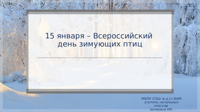 15 января – Всероссийский  день зимующих птиц МБОУ СОШ ж.д.ст.БАМ учитель начальных классов Шнякина НН 