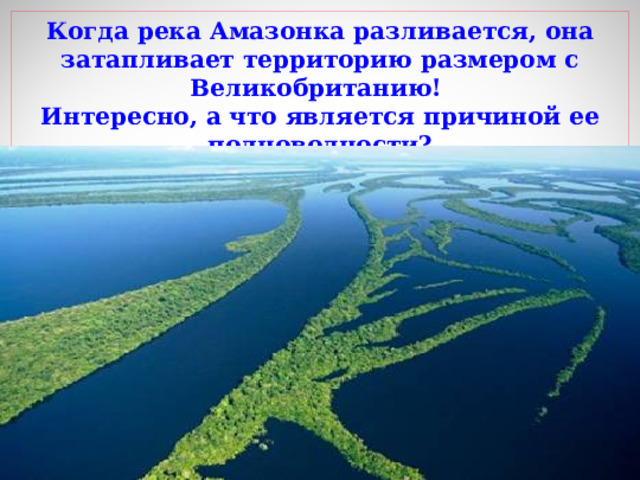 Когда река Амазонка разливается, она затапливает территорию размером с Великобританию! Интересно, а что является причиной ее полноводности? 