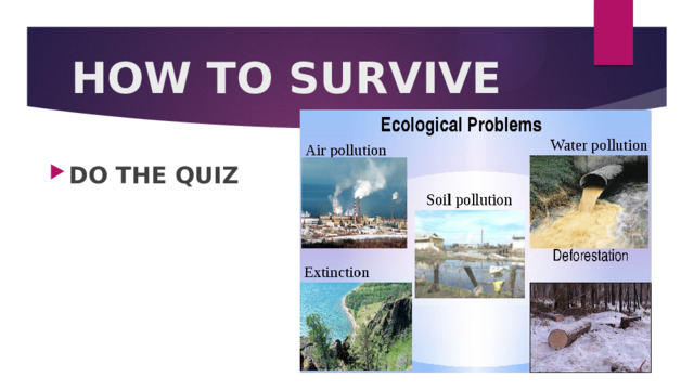 HOW TO SURVIVE DO THE QUIZ   