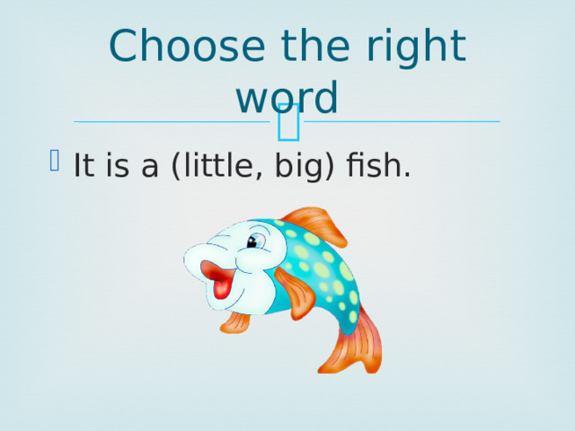 Choose the right word It is a (little, big) fish. 