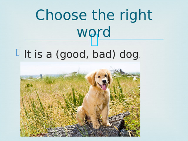Choose the right word It is a (good, bad) dog . 