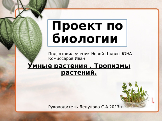 Проект по биологии Подготовил ученик Новой Школы ЮНА Комиссаров Иван Руководитель Лепунова С.А 2017 г. Умные растения . Тропизмы растений. 