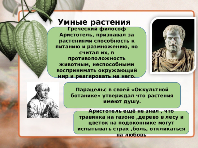 Умные растения Греческий философ Аристотель, признавал за растениями способность к питанию и размножению, но считал их, в противоположность животным, неспособными воспринимать окружающий мир и реагировать на него.  Парацельс в своей «Оккультной ботанике» утверждал что растения имеют душу. Аристотель ещё не знал , что травинка на газоне ,дерево в лесу и цветок на подоконнике могут испытывать страх ,боль, откликаться на любовь 
