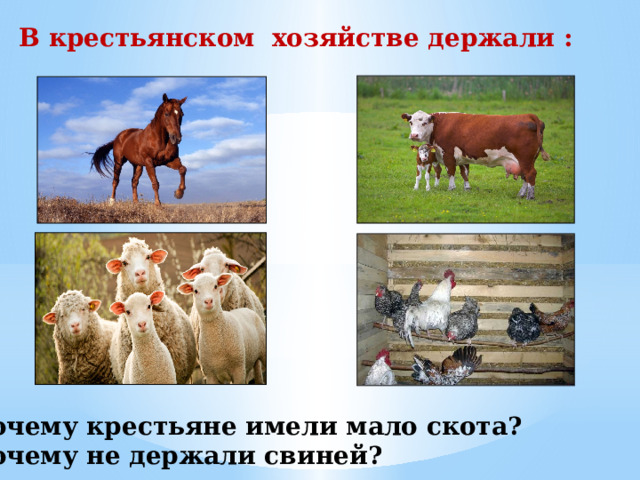В крестьянском хозяйстве держали : Почему крестьяне имели мало скота? Почему не держали свиней? 