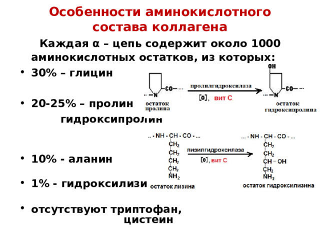 Особенности аминокислотного состава коллагена  Каждая α – цепь содержит около 1000 аминокислотных остатков, из которых: 30% – глицин  20-25% – пролин и  гидроксипролин  10% - аланин 1% - гидроксилизин  отсутствуют триптофан,  цистеин 