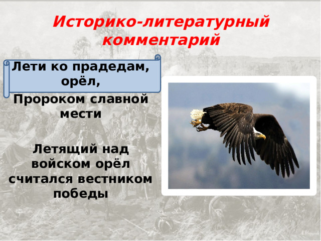 Историко-литературный комментарий Лети ко прадедам, орёл, Пророком славной мести  Летящий над войском орёл считался вестником победы 