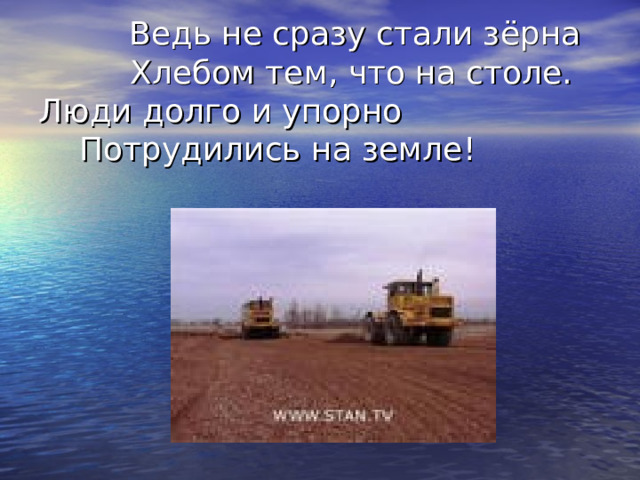   Ведь не сразу стали зёрна  Хлебом тем, что на столе.  Люди долго и упорно  Потрудились на земле!   