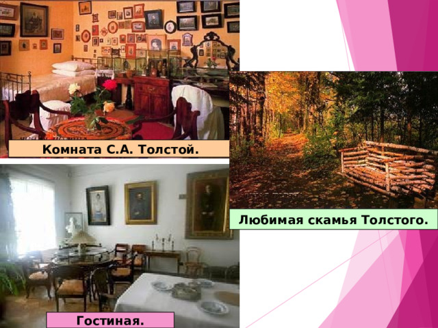 Комната С.А. Толстой. Любимая скамья Толстого. Гостиная. 
