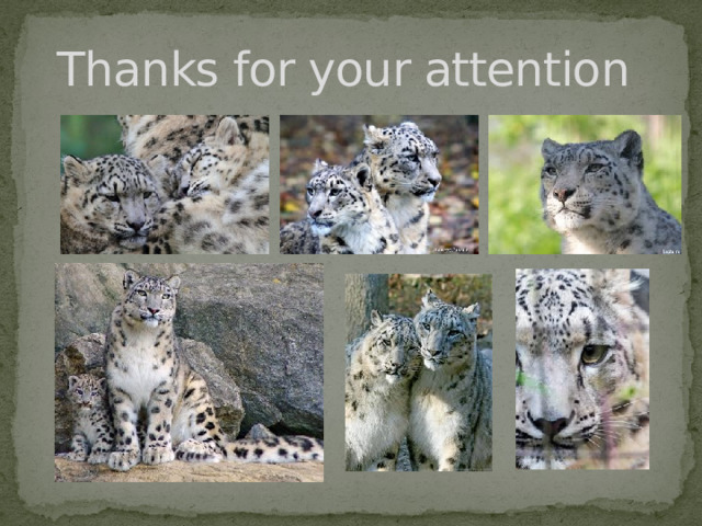 Thanks for your attention 