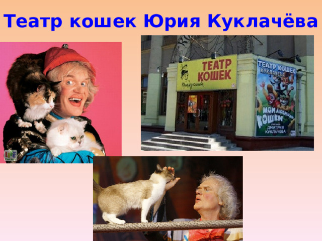 Театр кошек Юрия Куклачёва 