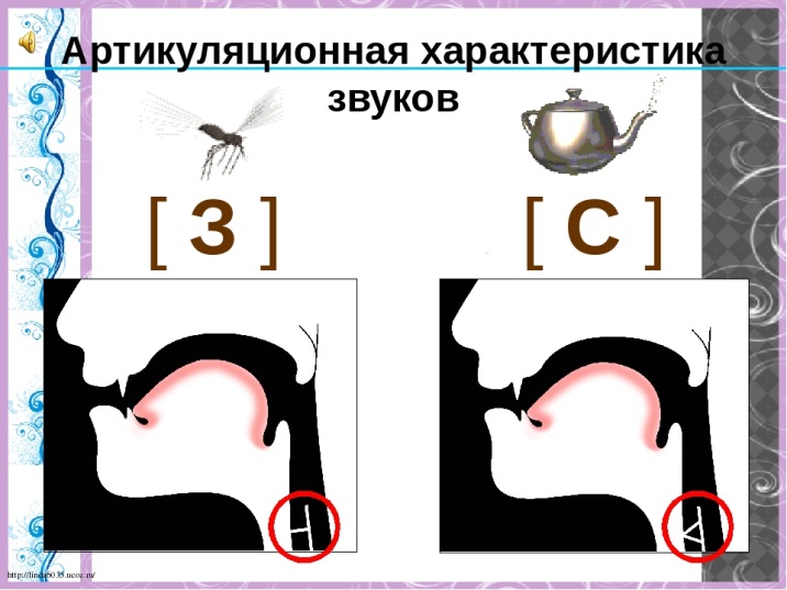 Артикуляция звука в для детей в картинках