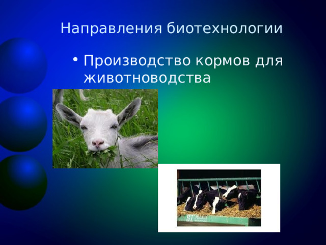 Направления биотехнологии Производство кормов для животноводства 