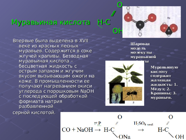  O    ⁄⁄  Муравьиная кислота H-C    OH Впервые была выделена в XVII веке из красных лесных муравьев. Содержится в соке жгучей крапивы. Безводная муравьиная кислота – бесцветная жидкость с острым запахом и жгучим вкусом вызывающим ожоги на коже. В промышленности ее получают нагреванием окиси углерода с порошковым NaOH с последующей обработкой формиата натрия разбавленной серной кислотой. Шаровая модель молекулы муравьиной кислоты Муравьиную кислоту содержит жалящая жидкость: 1. Медуз; 2. Крапивы; 3. муравьев.  