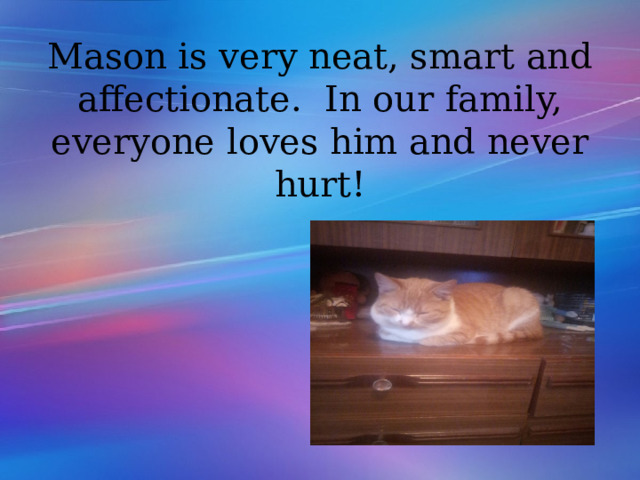 Mason is very neat, smart and affectionate. In our family, everyone loves him and never hurt! 