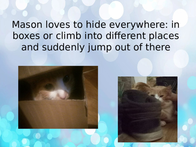 Mason loves to hide everywhere: in boxes or climb into different places and suddenly jump out of there 