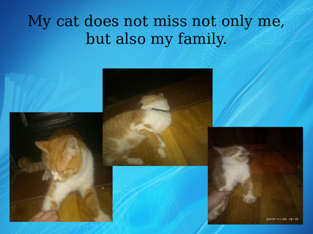 My cat does not miss not only me, but also my family. 