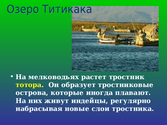 На мелководьях растет тростник тотора . Он образует тростниковые острова, которые иногда плавают. На них живут индейцы, регулярно набрасывая новые слои тростника. 