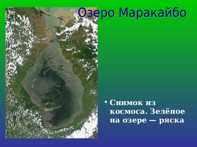 Снимок из космоса. Зелёное на озере — ряска 