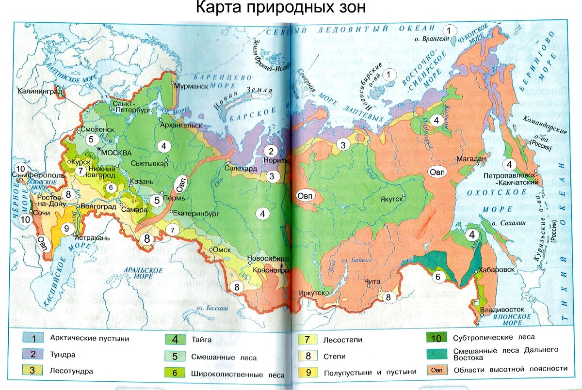 Подпишите на карте природные зоны россии 8 класс контурная карта