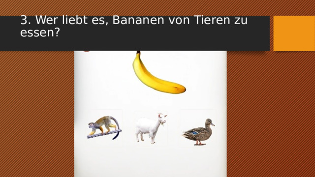 3. Wer liebt es, Bananen von Tieren zu essen?   