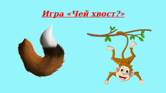 Игра «Чей хвост?» 