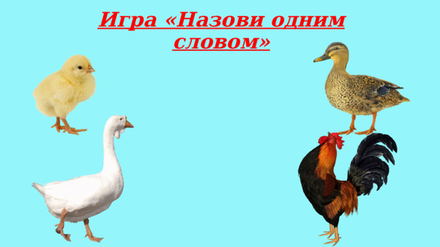 Игра «Назови одним словом» 