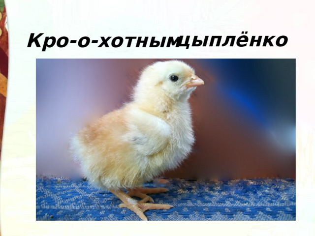 цыплёнком Кро-о-хотным 
