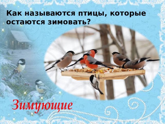 Как называются птицы, которые остаются зимовать? 