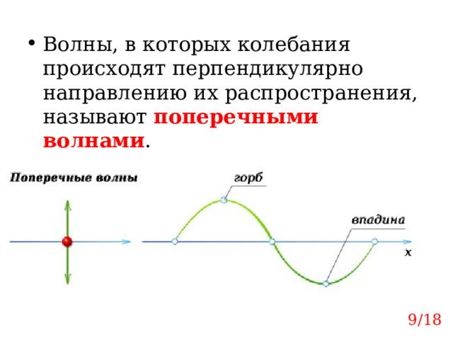 Волны, в которых колебания происходят перпендикулярно направлению их распространения, называют поперечными волнами . 9/18 