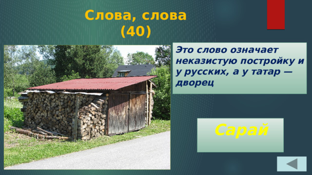 Слова, слова  (40) Это слово означает неказистую постройку и у русских, а у татар — дворец Сарай 
